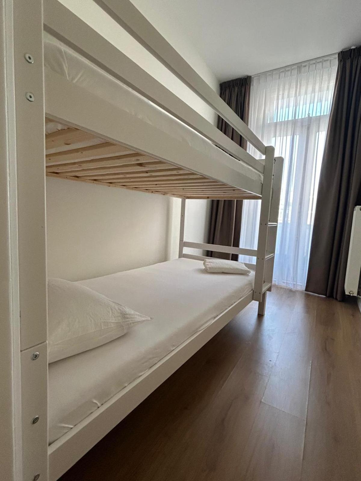 Seepaardje * Den Haag