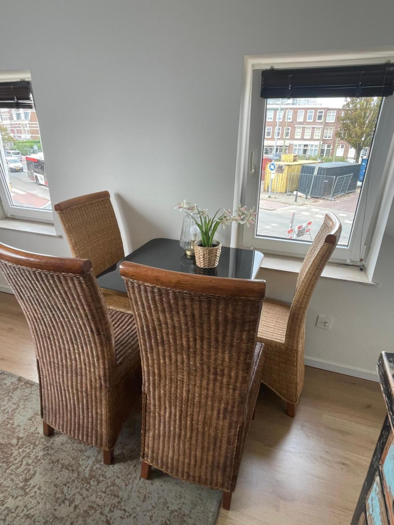 Seepaardje * Den Haag